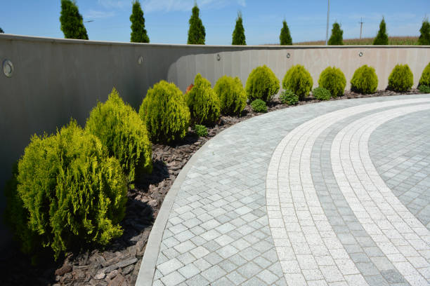 Reasons to Select Us for Your Driveway Paving Requirements in New Market, AL